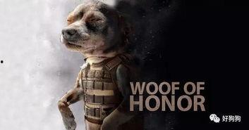 娱乐吃瓜汪星人是谁啊